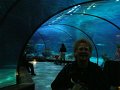 DSC04230 - Copy (2)